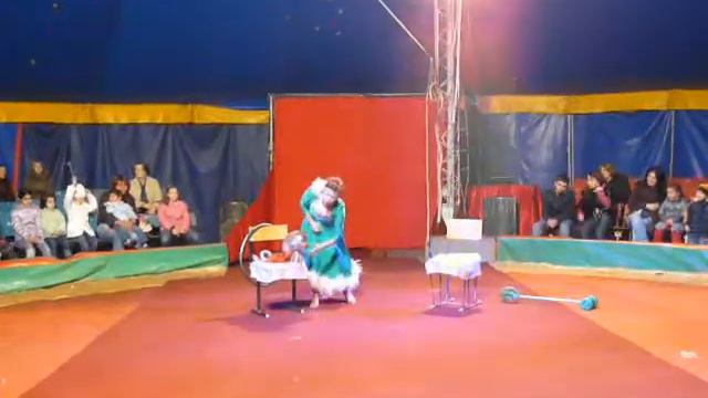 обезьянки с собачками смотреть онлайн