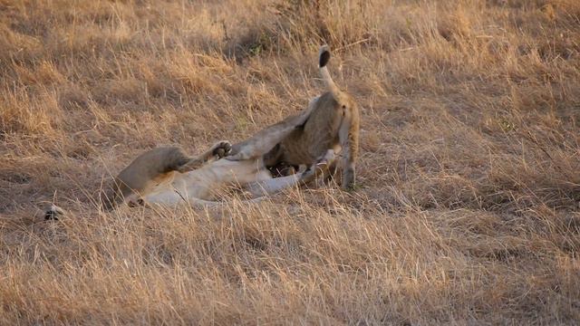 Кения+Уганда смотреть онлайн