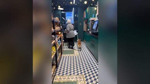 Лакомства для питомцев от Жизньмарт смотреть онлайн