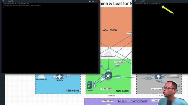 How to configure EVE-NG Clouds and ESXi Virtual Switch to work with NSX-T смотреть онлайн