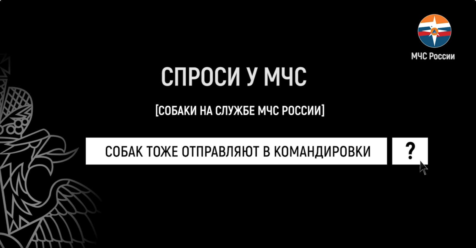 #СпросиуМЧС | собаки на службе МЧС России смотреть онлайн