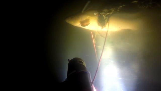 Подводная охота 2017 за минуту до нереста смотреть онлайн