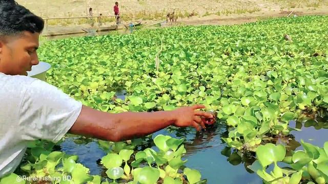 Plastic Bottles Fish Trap | Traditional Catch Fish With Hook & Plastic Bottle Fish Trap смотреть онлайн