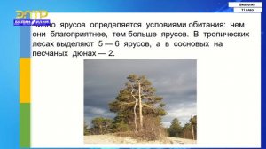 11-класс | Биология  | Экосистема и ее характеристика. Биологическая продуктивность экосистем