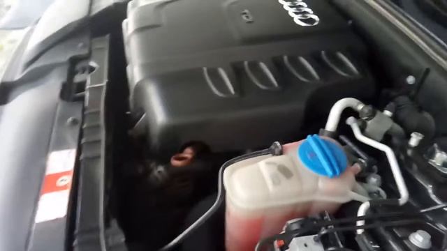 посторонний звук после запуска двигателя ауди А4 B8 2.0 tdi смотреть онлайн