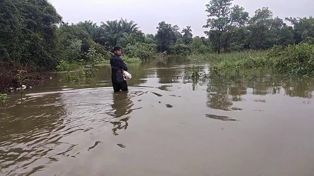 BANJIR BESAR DI BUKIT PAYONG, KUALA TERENGGANU #banjir #2022 смотреть онлайн