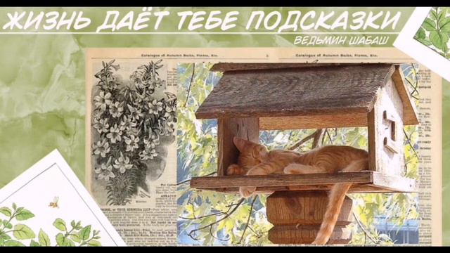 ❖◈▴ Жизнь дает тебе подсказки ▴◈❖ смотреть онлайн
