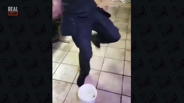 Electric Eel VS Others! What Electric Eels Can Do... смотреть онлайн