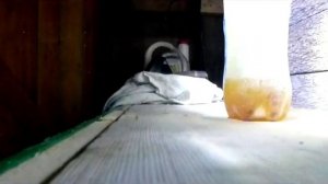 Тест масла для снегохода 2 т. в -30, ч. 2