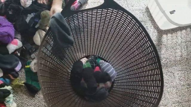 Веселое утро многодетной мамы. Носки. Кухня. Семья Савченко смотреть онлайн