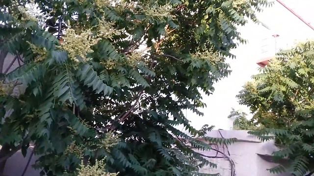 Бабочки в актау смотреть онлайн