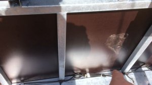 Прицеп Титан 2513-03 ( г.Липецк) вся правда. Рекомендации. Нюансы.