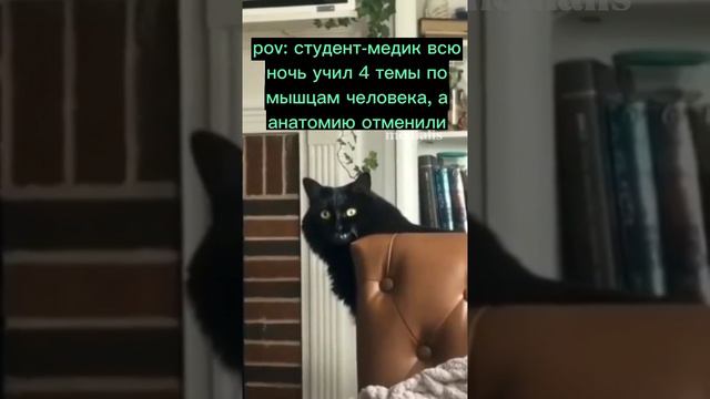 То самое чувство свободы😀👍