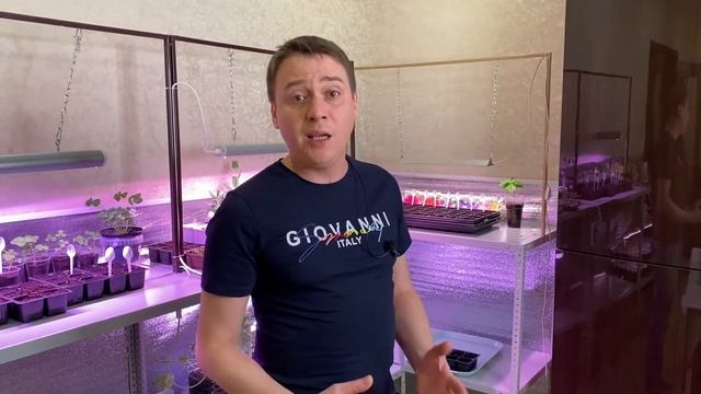 Как посеять лук на рассаду? Выращивание репчатого лука из семян. смотреть онлайн