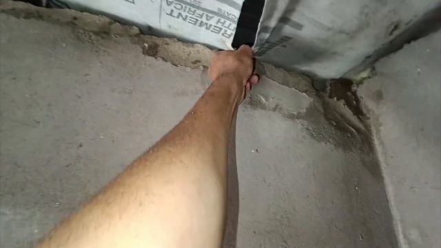PESKY PYTHON OCCUPIES ROOF SPACE OF RURAL HOME !! смотреть онлайн