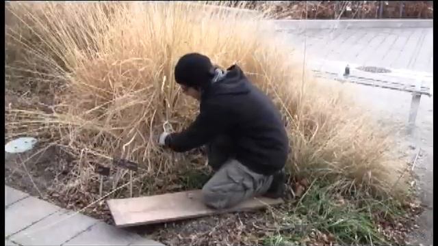 Winter Pruning with Paul Zammit смотреть онлайн