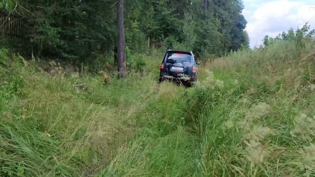 Pajero IV прогулка по лесу в поисках грибов. Бездорожье смотреть онлайн