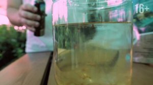 Органическое удобрение - мука из морских водорослей / Стимулятор роста растений / Органик Микс