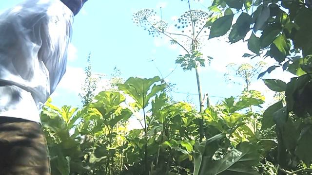 Отвергнутый поколением поэт-microYouTuber MC hraBROv рубит постмодерн под корень [Да! Победе!] смотреть онлайн