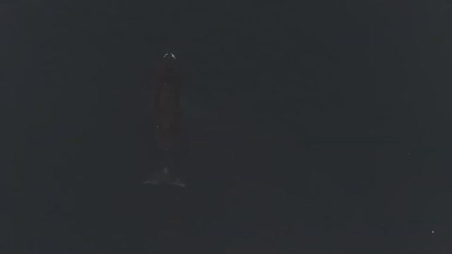 Гренландские киты. смотреть онлайн