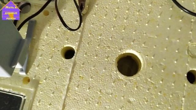 Обзор инкубатора 