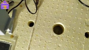 Обзор инкубатора "Золушка 2020" , не повторяйте мои ошибки