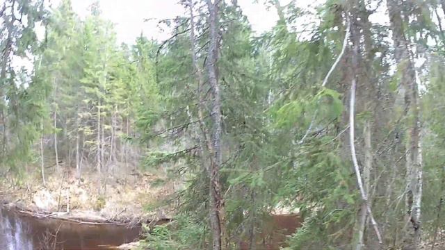 29 смотреть онлайн