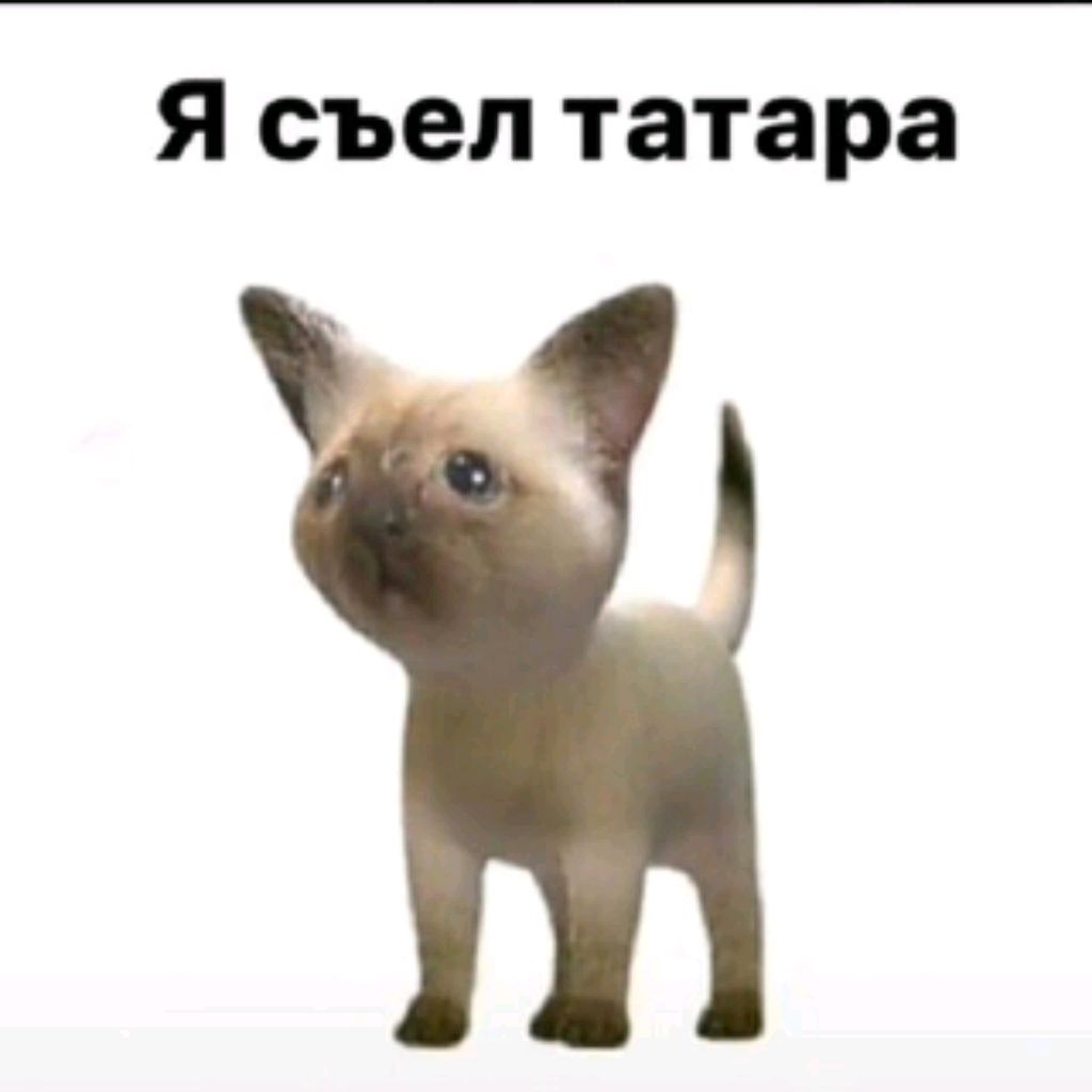 играю в рб и майн смотреть онлайн