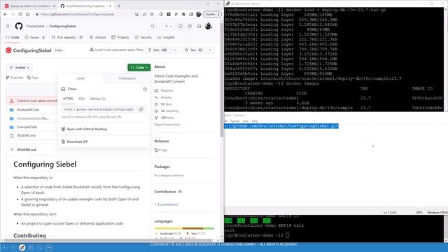 Siebel Sample Database Reloaded смотреть онлайн
