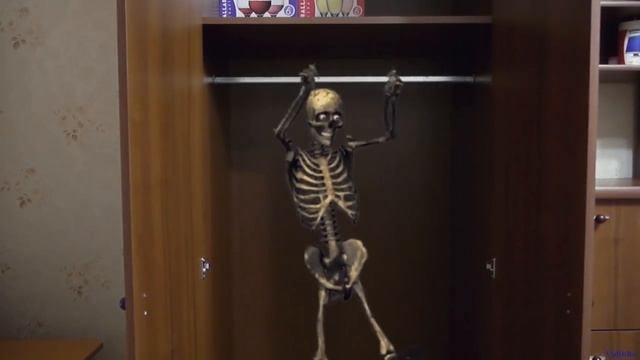 Танцующий скелет в шкафу Dancing skeleton in the closet смотреть онлайн