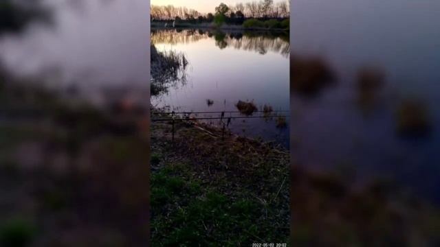 Рыбалка на пруду 64-й Рыбхоз | Рыбалка в Воронеже смотреть онлайн