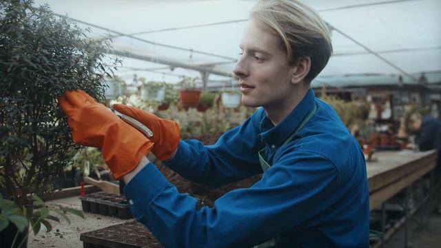 Я Кирилл Кветка, давай вместе создадим Рай на Земле! смотреть онлайн