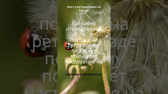 Путешествия по России смотреть онлайн