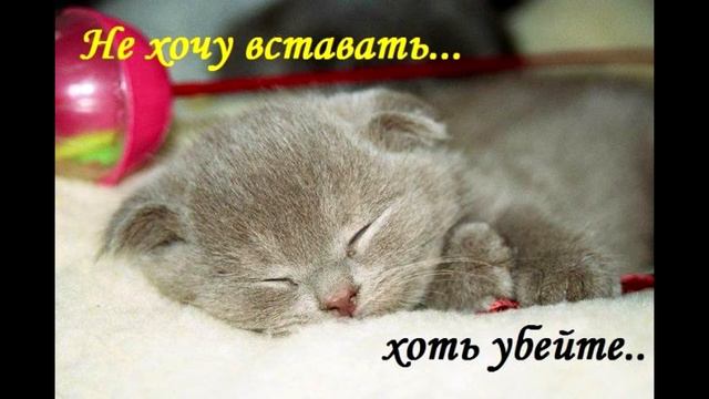 Не хочу вставать Do not want to get up смотреть онлайн