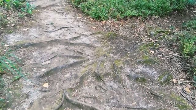 озеро Ласково. Рязанский район. смотреть онлайн