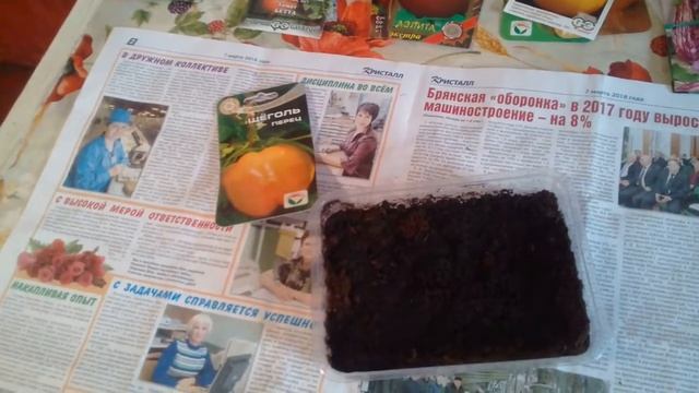 Посадка сладкого перца 