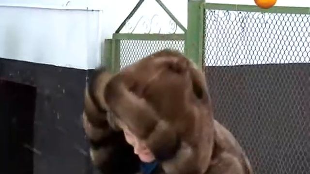 Что такое «надомное обслуживание» и сколько стоит эта услуга смотреть онлайн