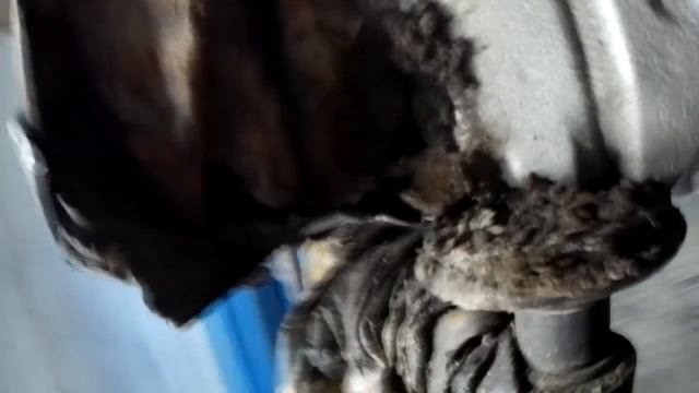 Toyota Hiace Regius полный разгром часть первая смотреть онлайн