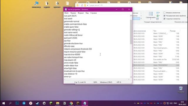 КАК СДЕЛАТЬ СЕРВЕР С ПЛАГИНАМИ НА 1.18 смотреть онлайн