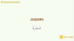 Урок арабского языка для начинающих | 50 слов на арабском языке