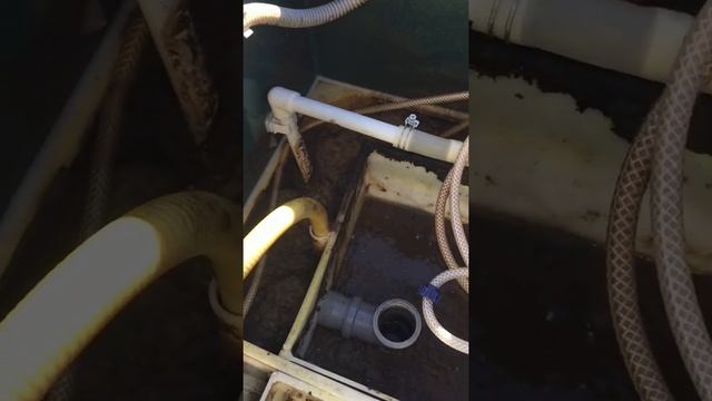 Септик Биодека проблемы на проблеме смотреть онлайн