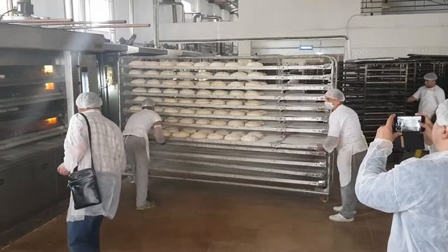 Ручная загрузка подовой печи Panemor смотреть онлайн