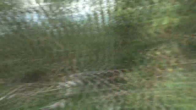 Рыбалка.Всем везет а нам нет.Но это был отдых.Туголица.Озера смотреть онлайн