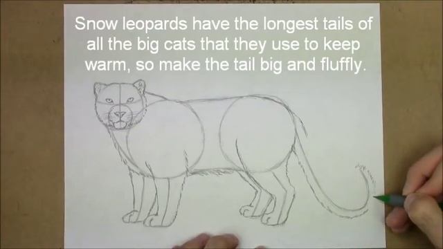 How to Draw a Snow Leopard смотреть онлайн