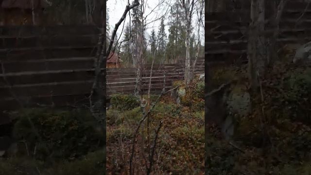 Отдых на природе. Рыбалка отменяется. смотреть онлайн
