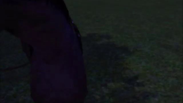 Sims 3: What Does the Fox Say смотреть онлайн