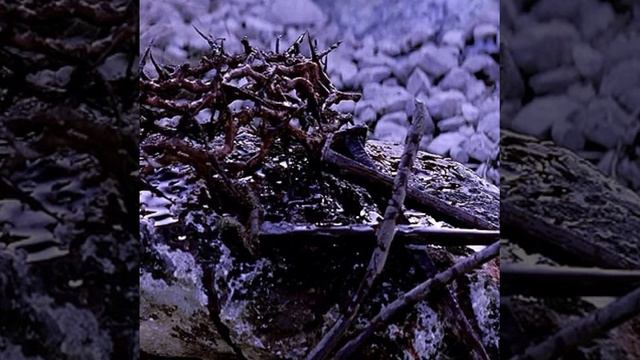 Страдания Христа (Ин. 19:33) (Проповедь Александра Курмаева) смотреть онлайн