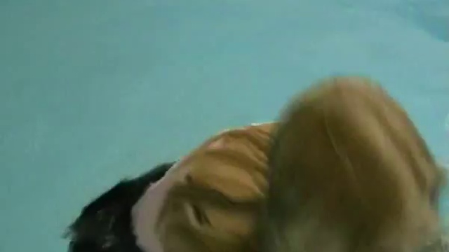 wet girl смотреть онлайн