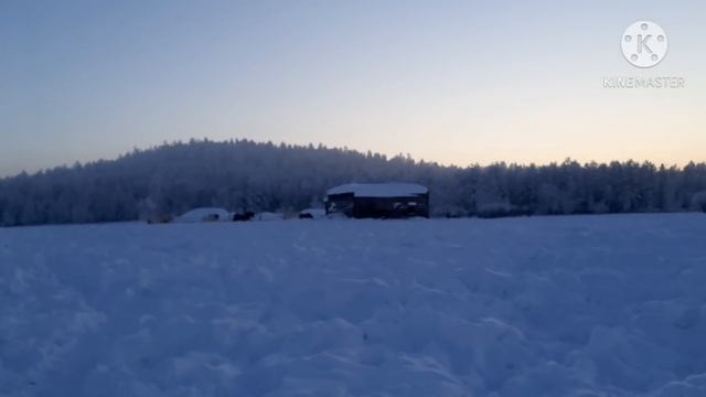-60°C. ? Рекордно низкая температура. Якутские лошади на морозе! Блог. Record low temperature. -60f смотреть онлайн