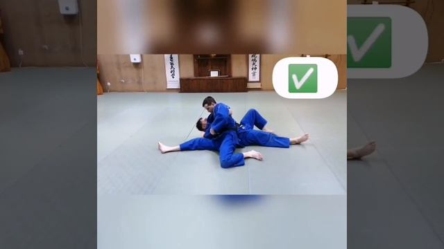 Hon Kesa Gatame. Key moments and typical mistakes.Ключевые моменты и типичные ошибки. #judo смотреть онлайн